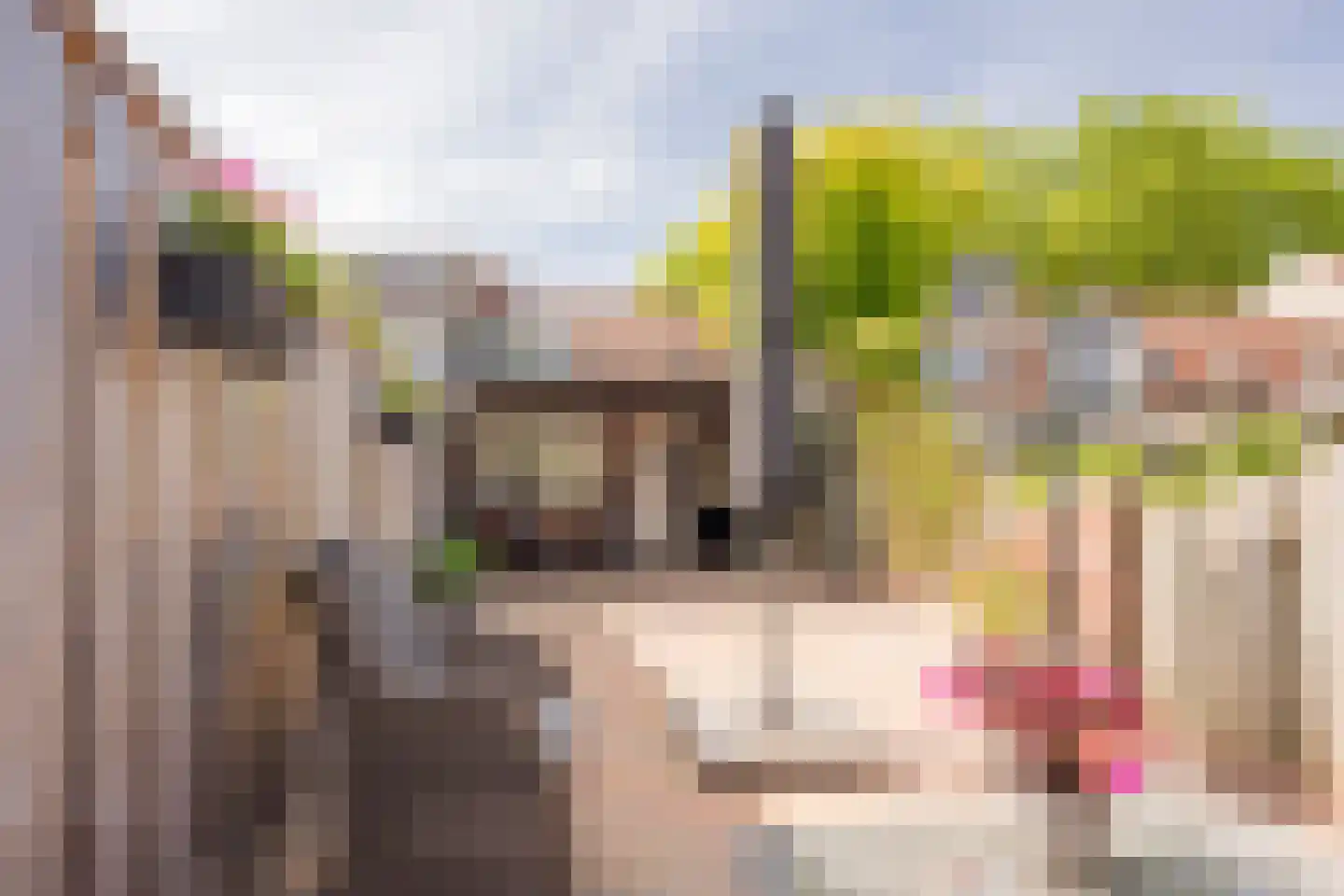 Brink 31 Nijkerk thumbnail 30