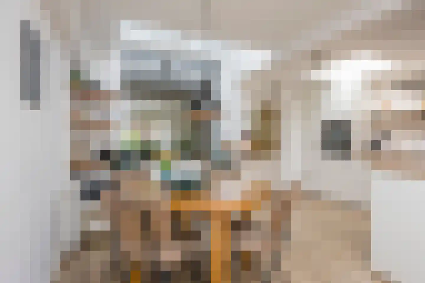Brink 31 Nijkerk thumbnail 4