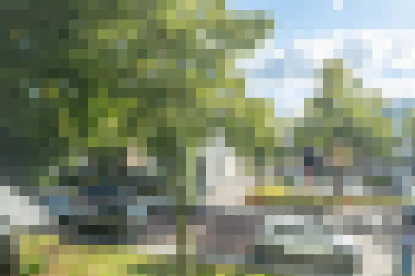 Brink 4 B Zwolle thumbnail 8