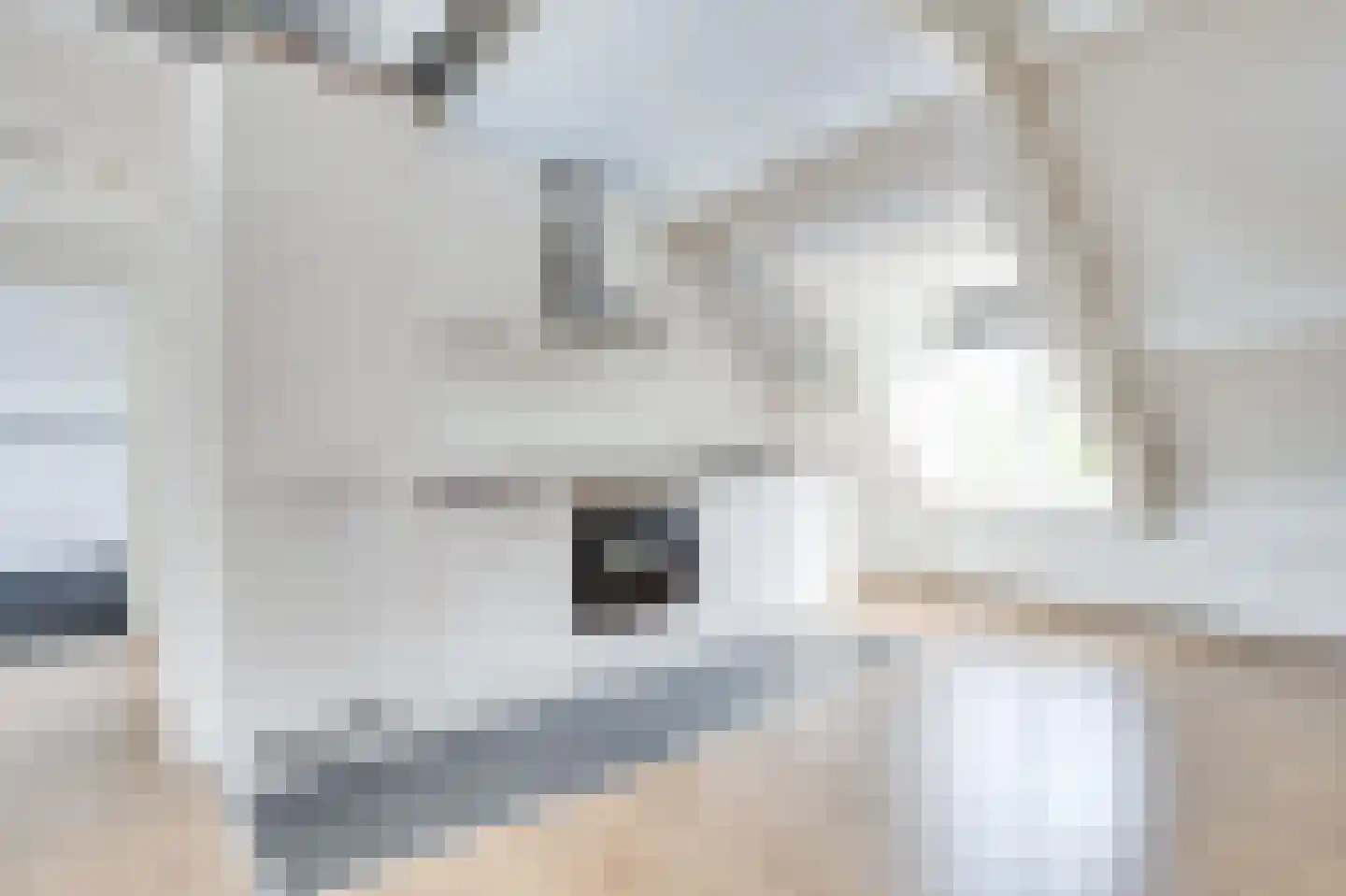 Brink 4 C Zwolle thumbnail 9