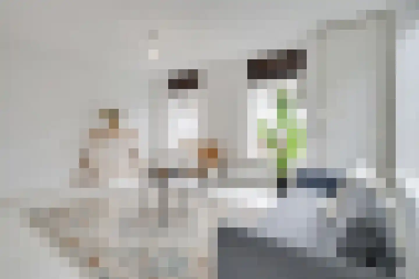 Brink 4 Zwolle thumbnail 8