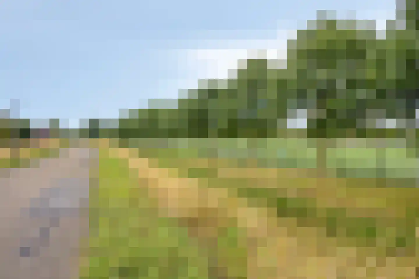 Brink 41 Beverwijk thumbnail 31