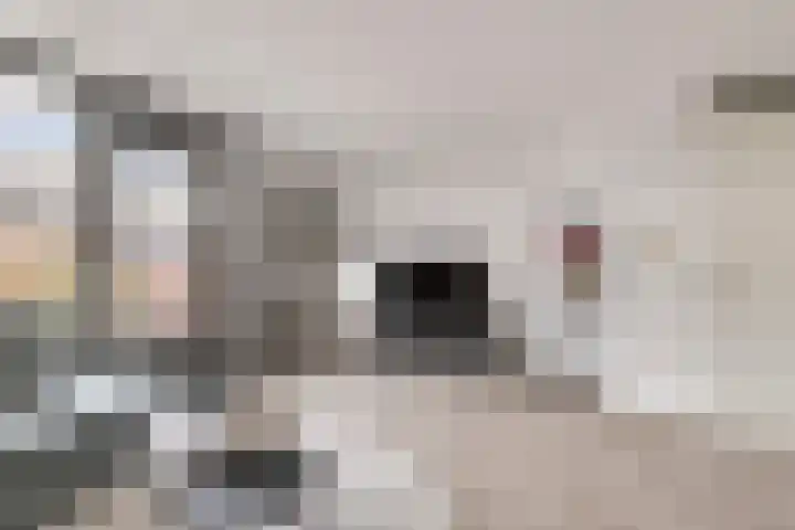 Brink 43 Huissen thumbnail 10
