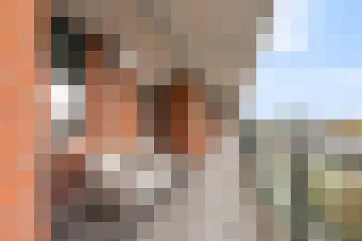 Brink 43 Huissen thumbnail 6