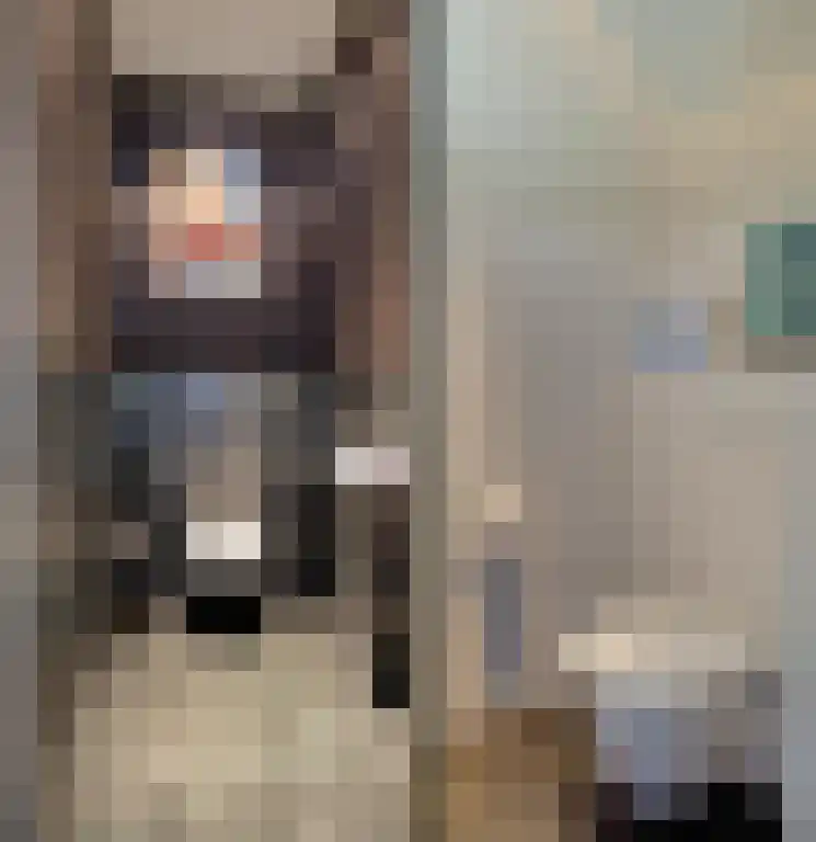 Brink 43 Ruinen thumbnail 32