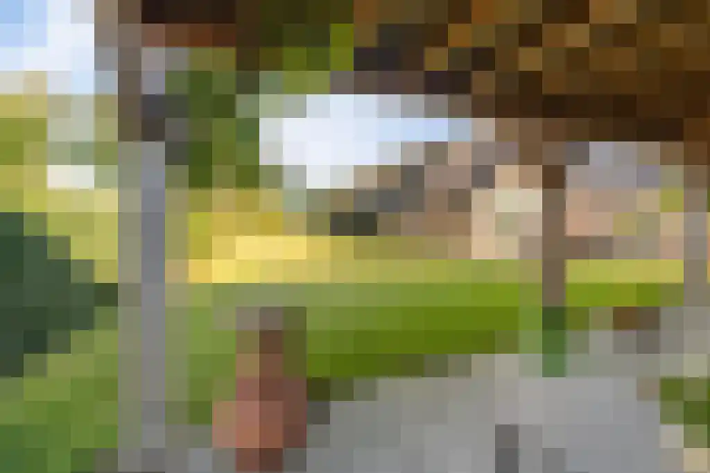 Brink 43 Ruinen thumbnail 54