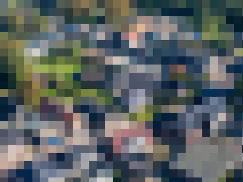 Brink 43 Ruinen thumbnail 74