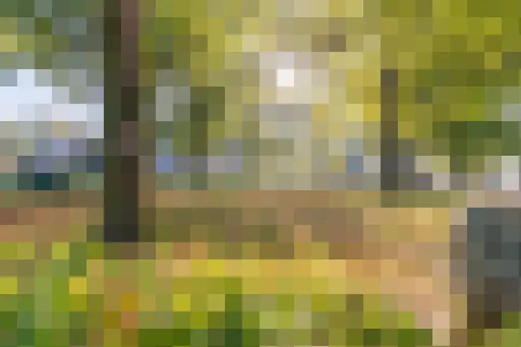 Brink 43 Ruinen thumbnail 78