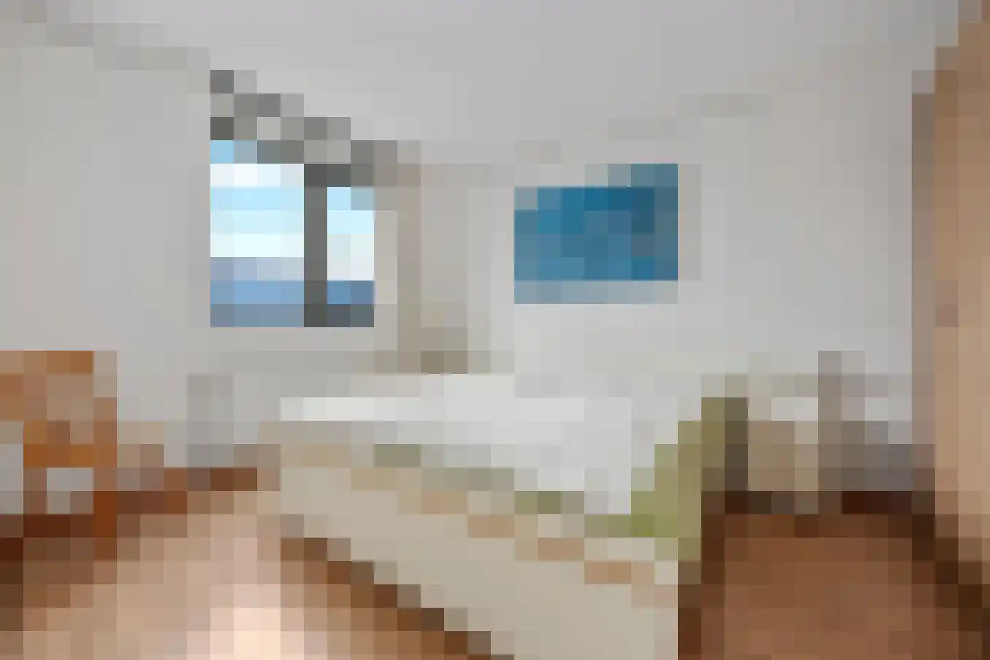 Brink 49 Huissen thumbnail 12