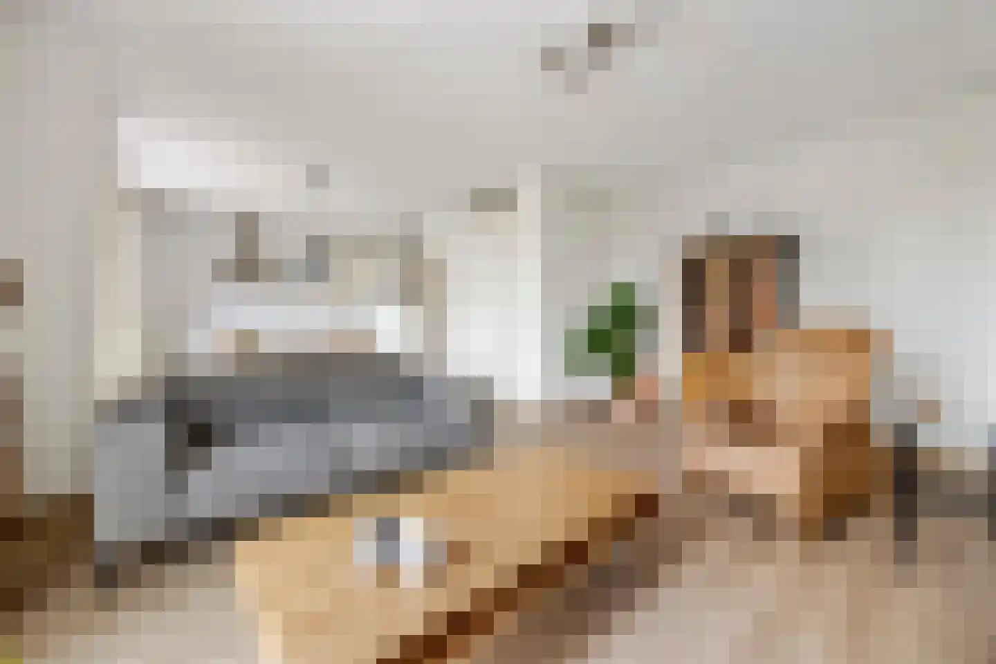 Brink 49 Huissen thumbnail 4