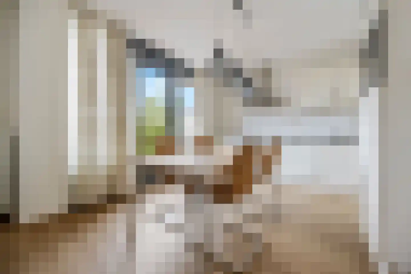 Brink 49 Huissen thumbnail 7