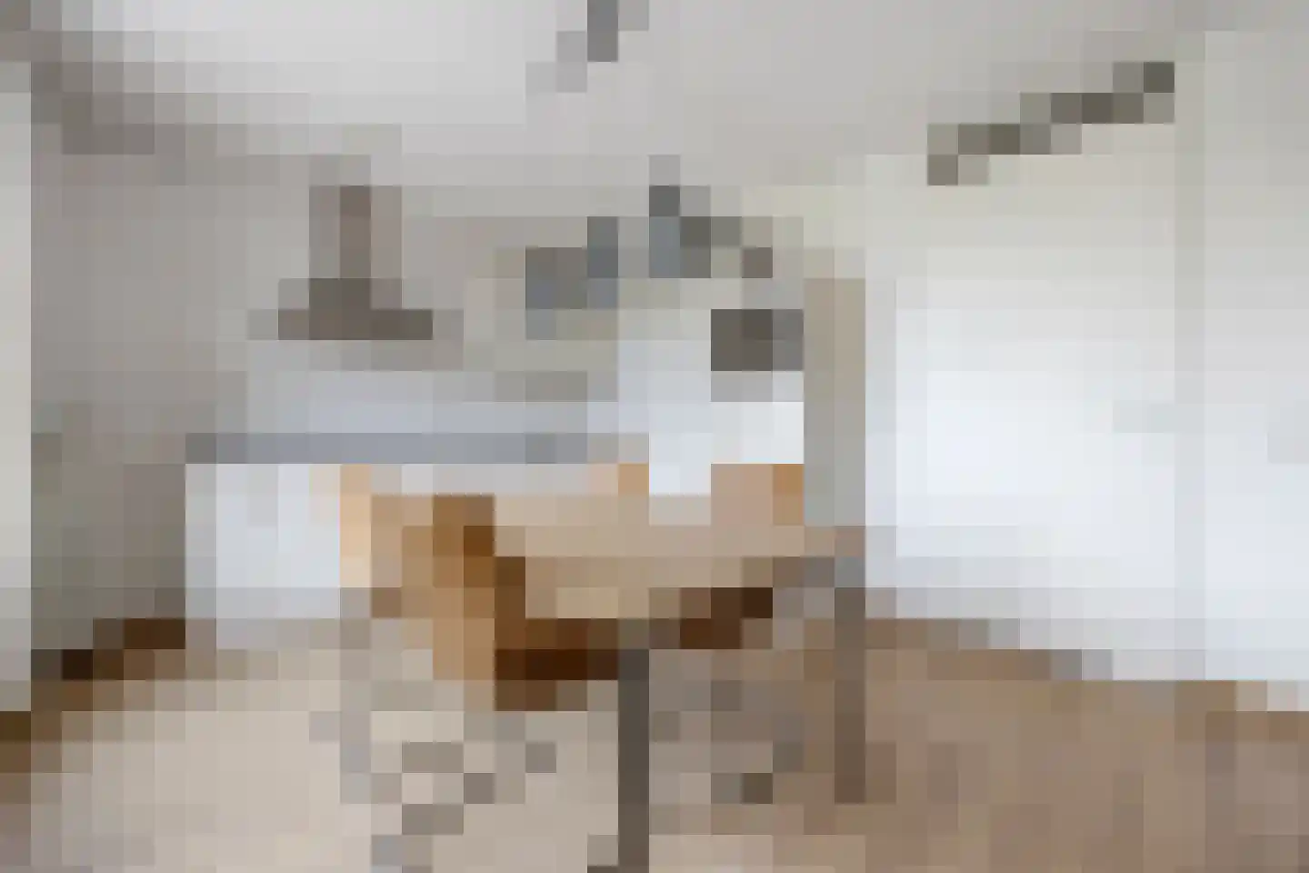 Brink 49 Huissen thumbnail 8