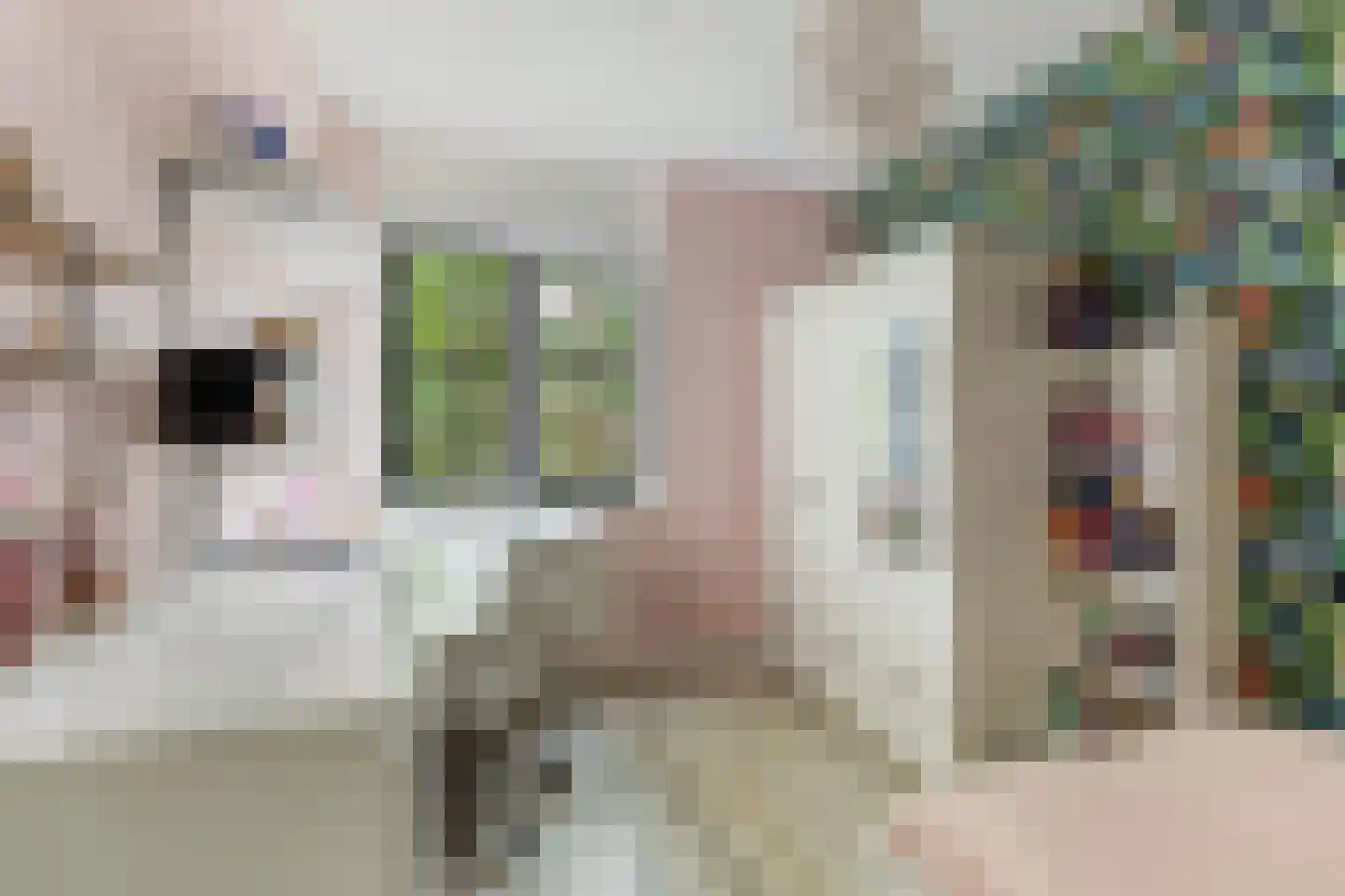 Brink 49 Nijkerk thumbnail 18