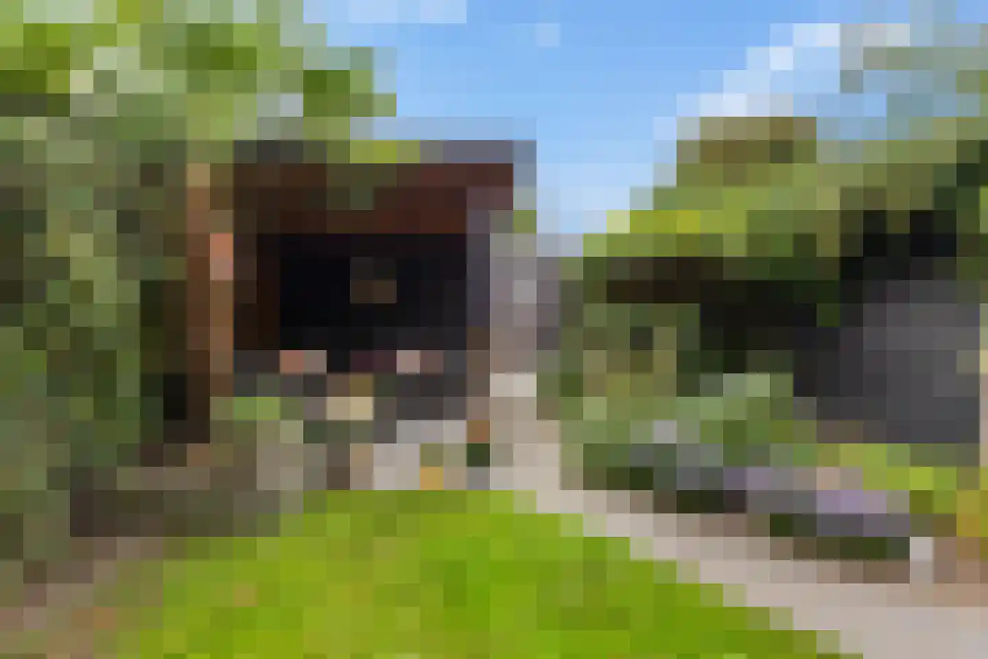 Brink 49 Nijkerk thumbnail 26