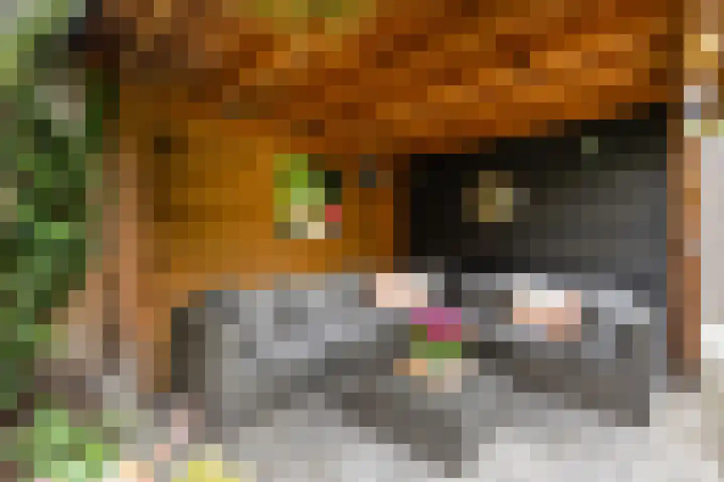 Brink 49 Nijkerk thumbnail 27