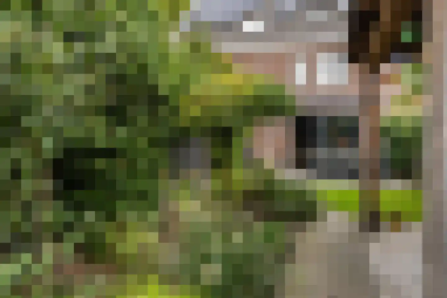 Brink 49 Nijkerk thumbnail 31