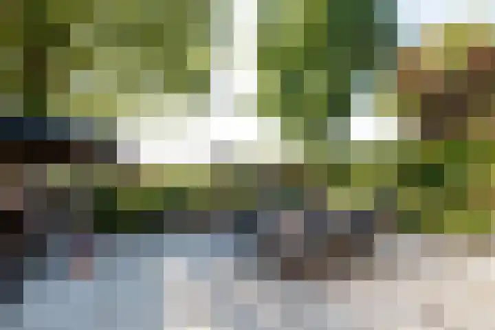 Brink 5 Haarzuilens thumbnail 12