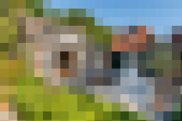 Brink 5 Haarzuilens thumbnail 13