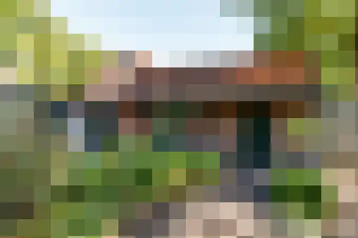 Brink 5 Haarzuilens thumbnail 14