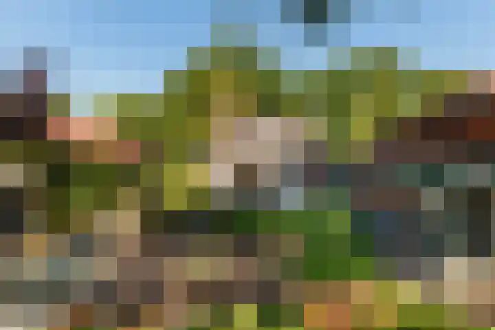 Brink 5 Haarzuilens thumbnail 16