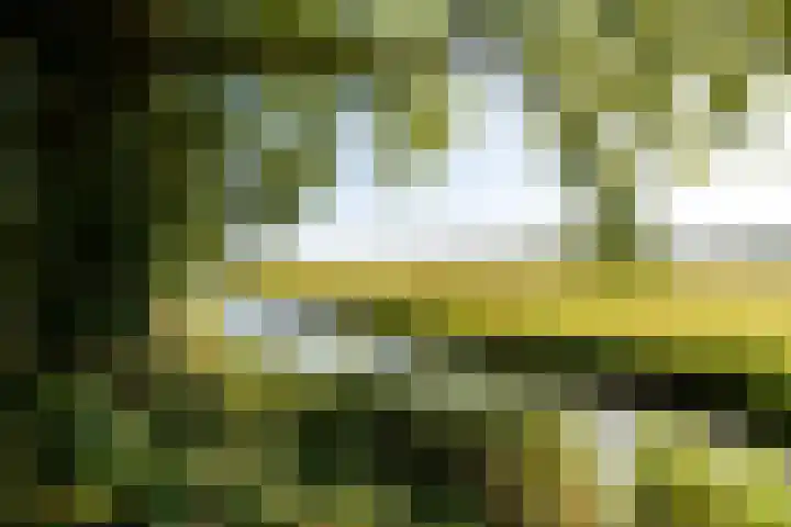 Brink 5 Haarzuilens thumbnail 17