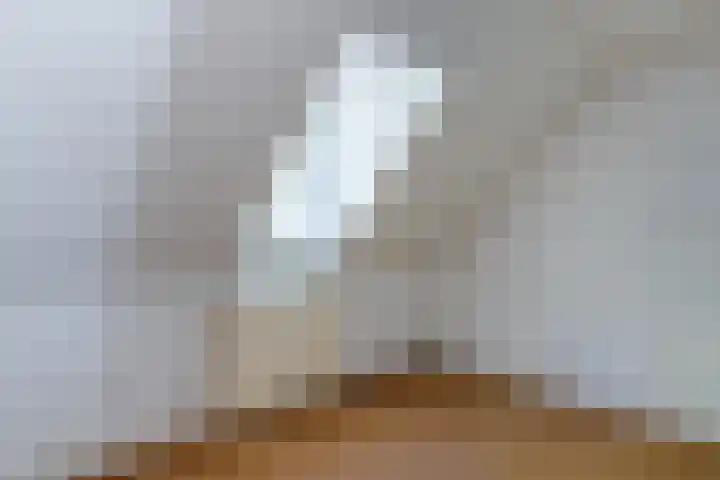Brink 5 Haarzuilens thumbnail 19