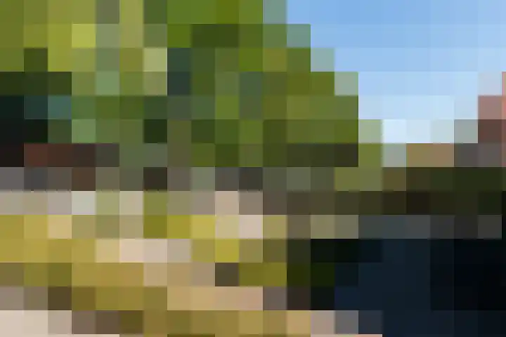 Brink 5 Haarzuilens thumbnail 23