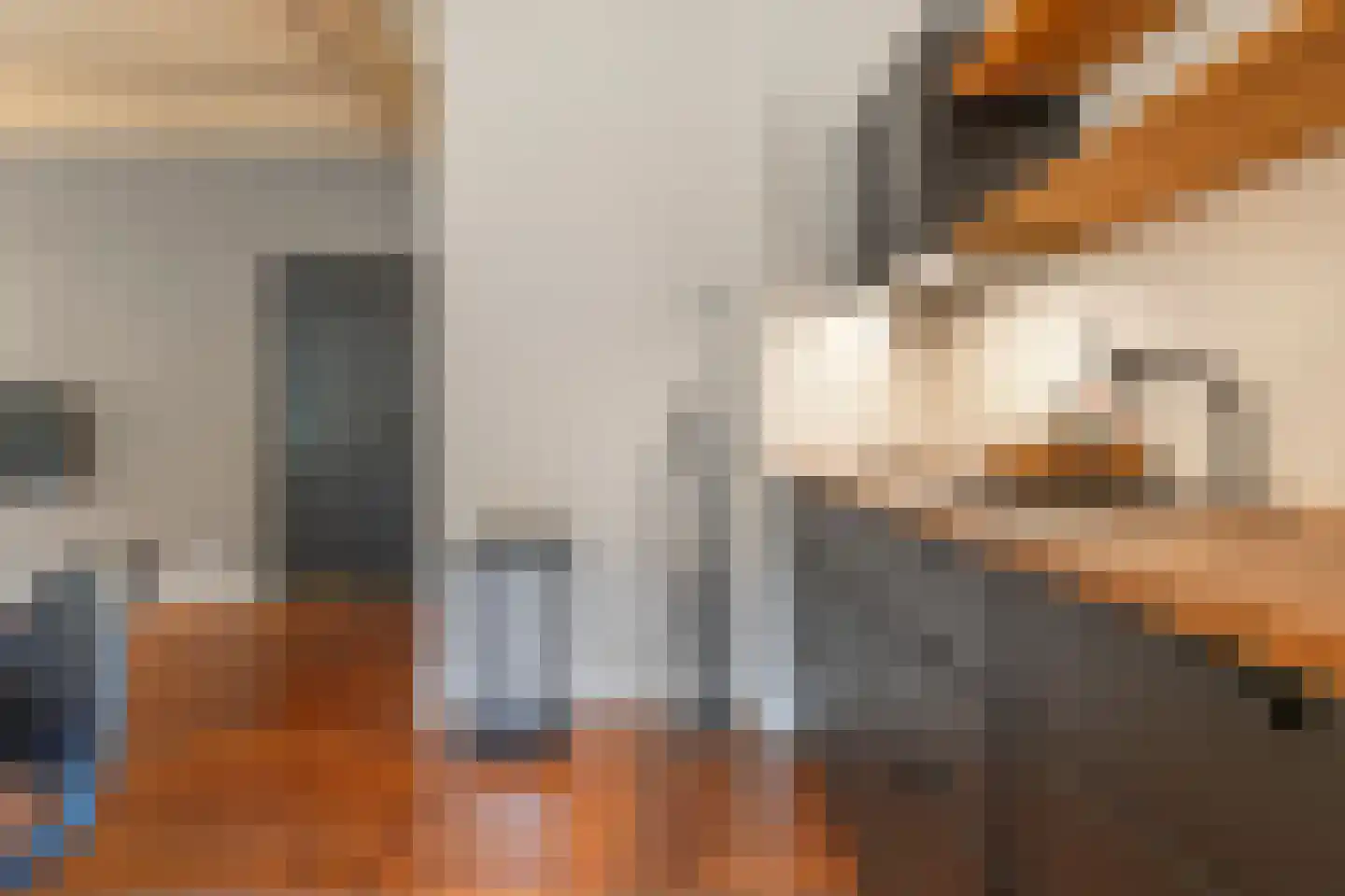 Brink 51 Dwingeloo thumbnail 22