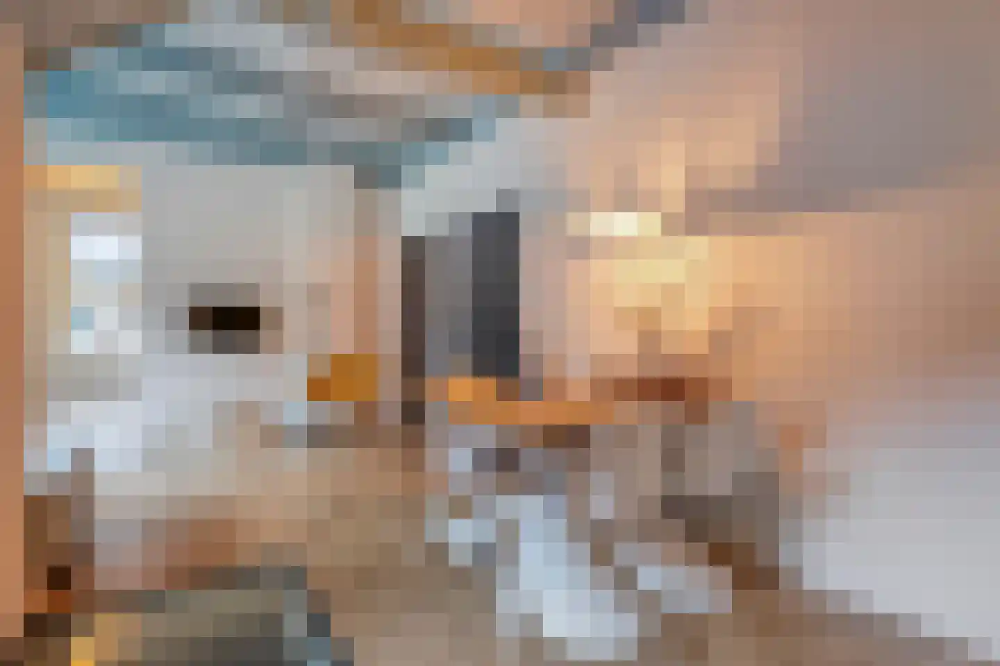 Brink 51 Dwingeloo thumbnail 34