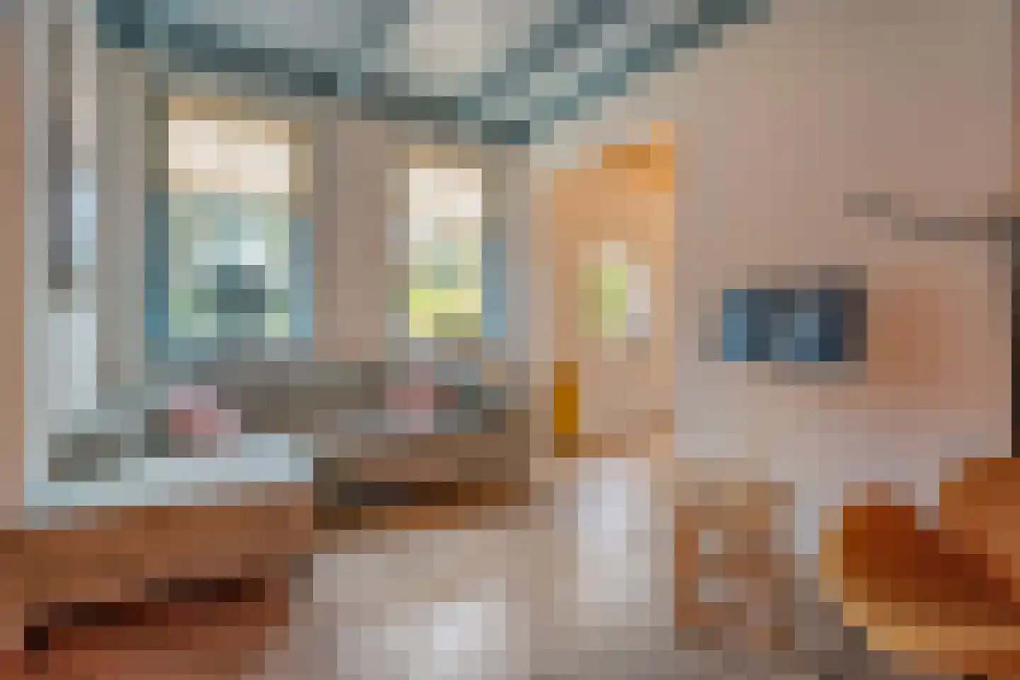 Brink 51 Dwingeloo thumbnail 35