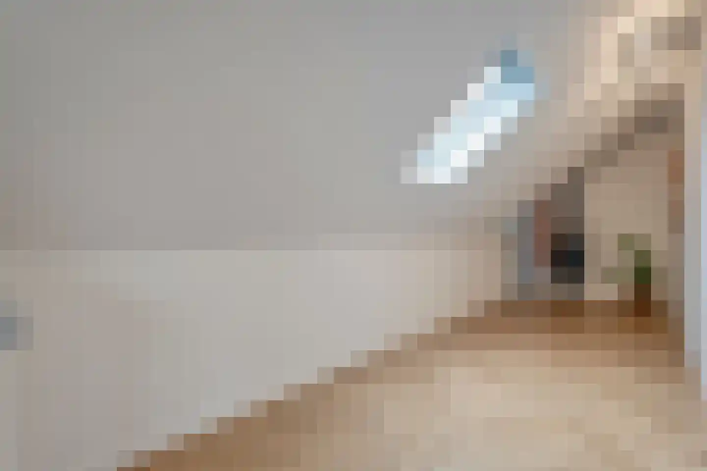 Brink 51 Dwingeloo thumbnail 42