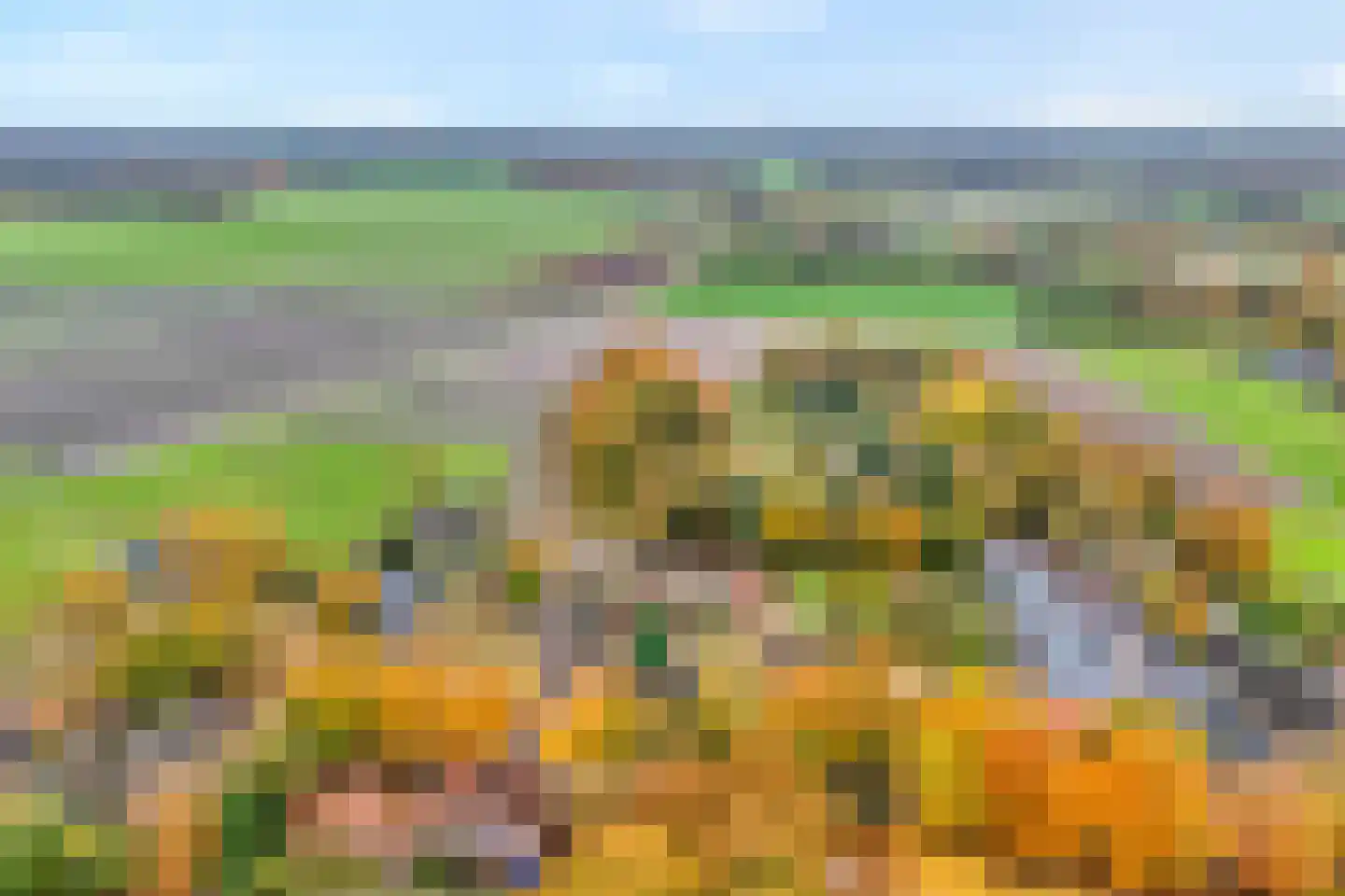 Brink 51 Dwingeloo thumbnail 5