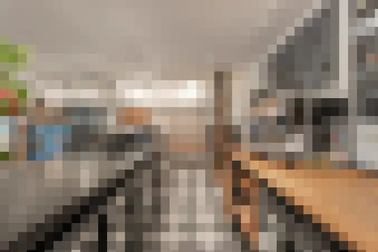 Brink 51 Dwingeloo thumbnail 53