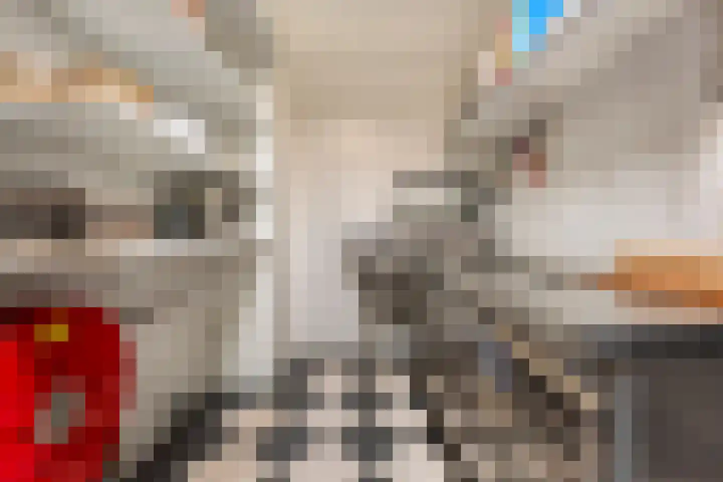 Brink 51 Dwingeloo thumbnail 56