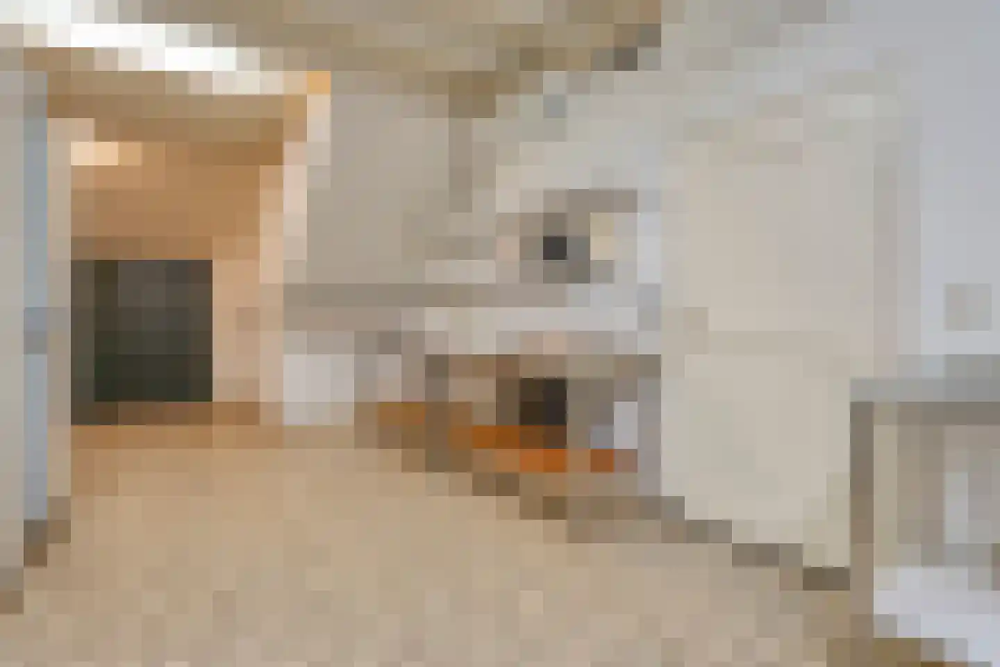 Brink 51 Dwingeloo thumbnail 58