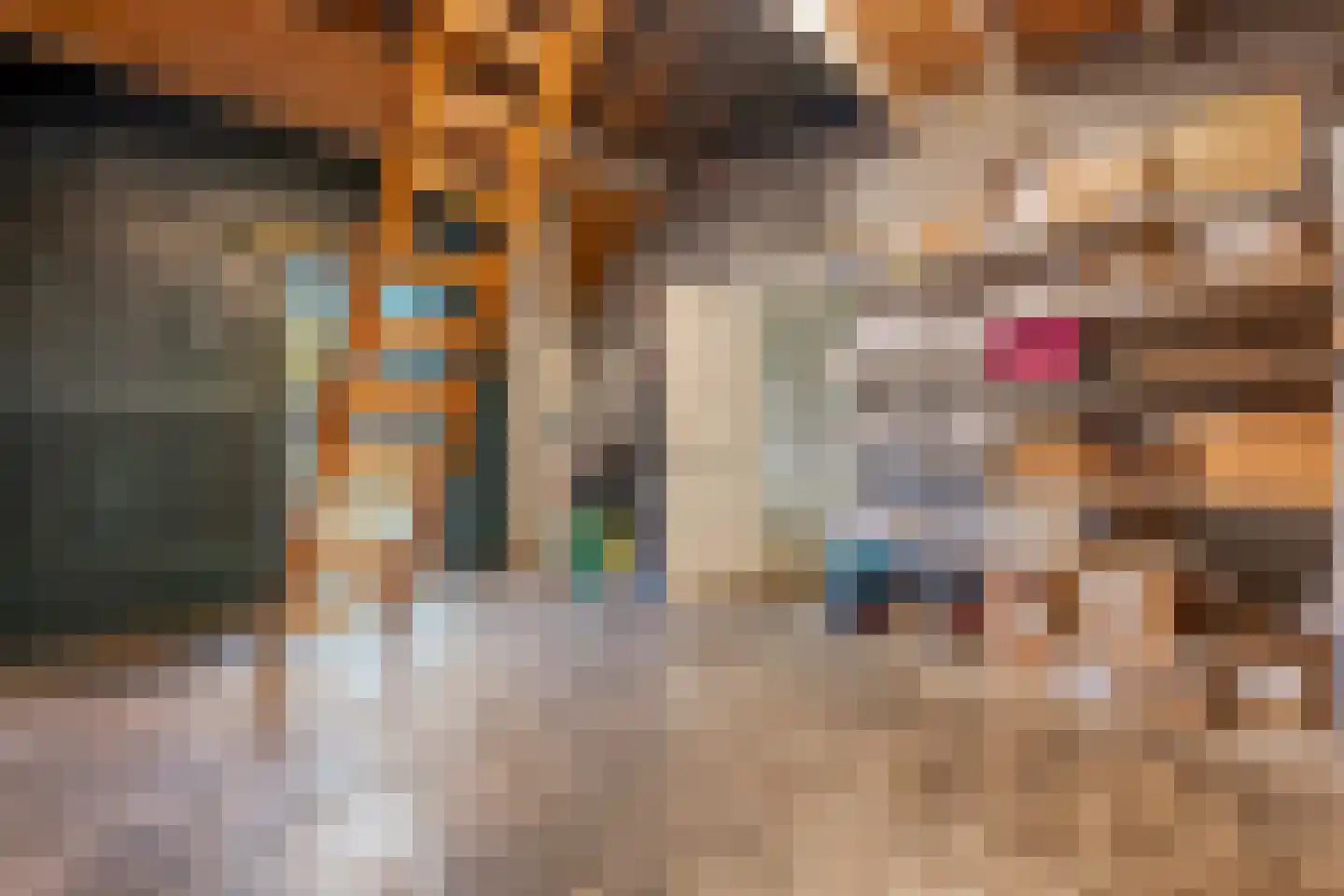 Brink 51 Dwingeloo thumbnail 61