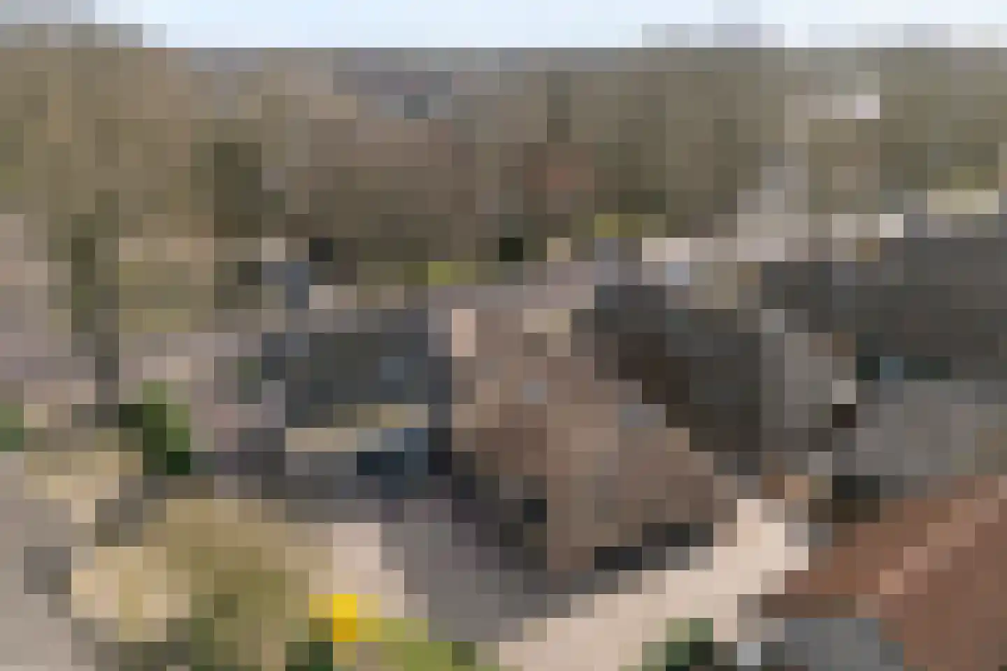 Brink 51 Dwingeloo thumbnail 64