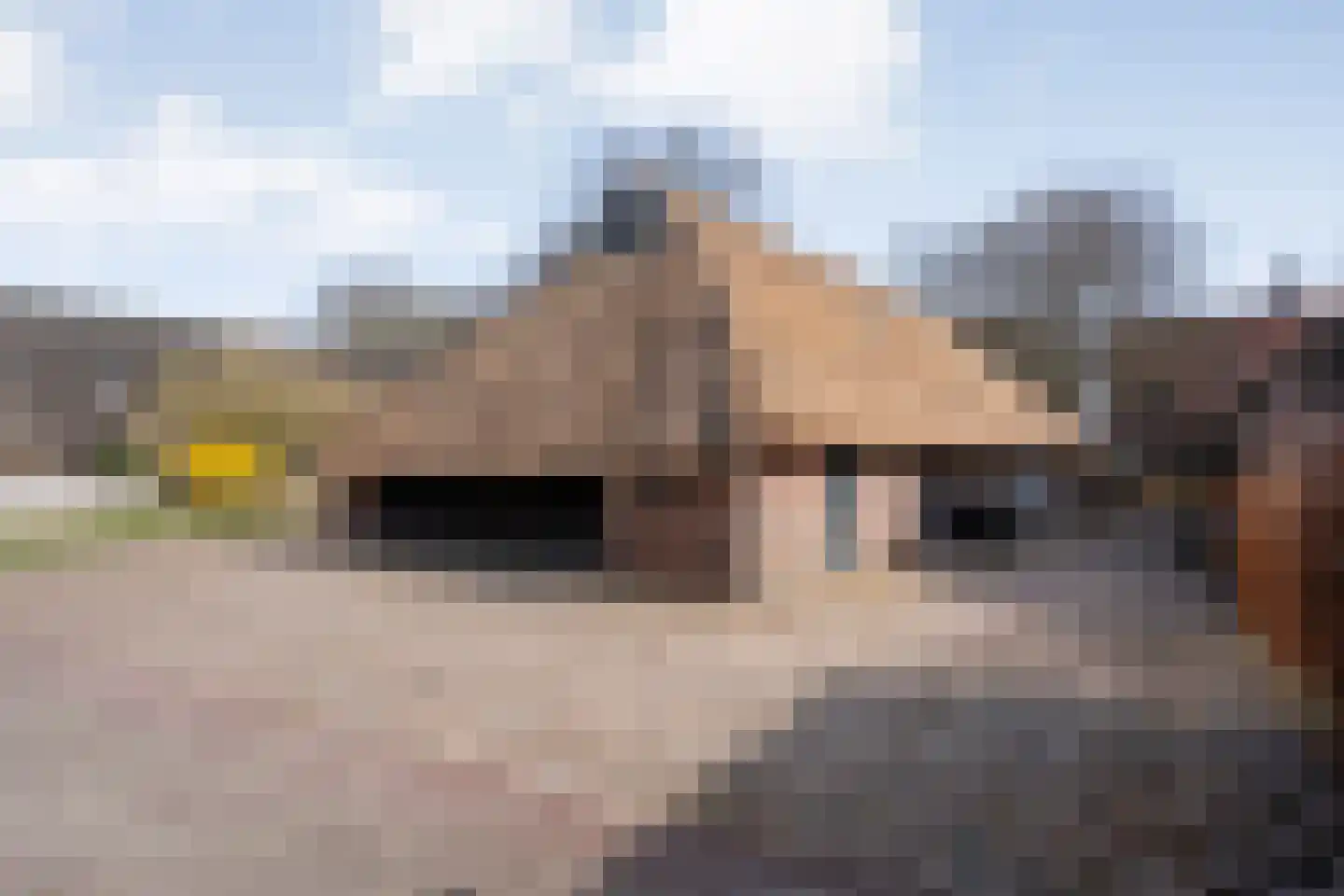 Brink 51 Dwingeloo thumbnail 66