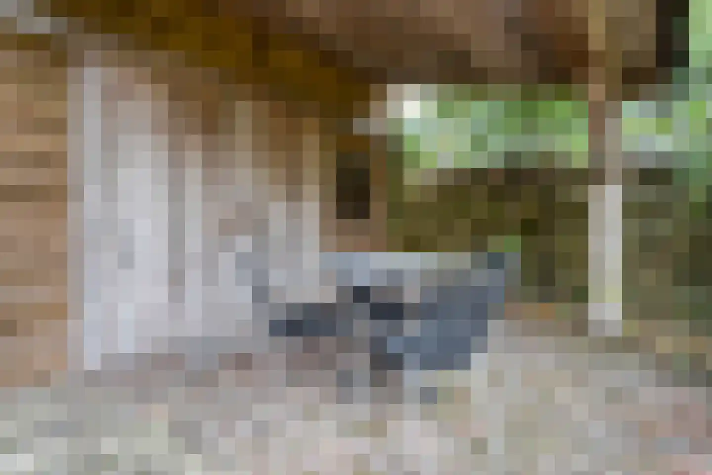 Brink 51 Dwingeloo thumbnail 72