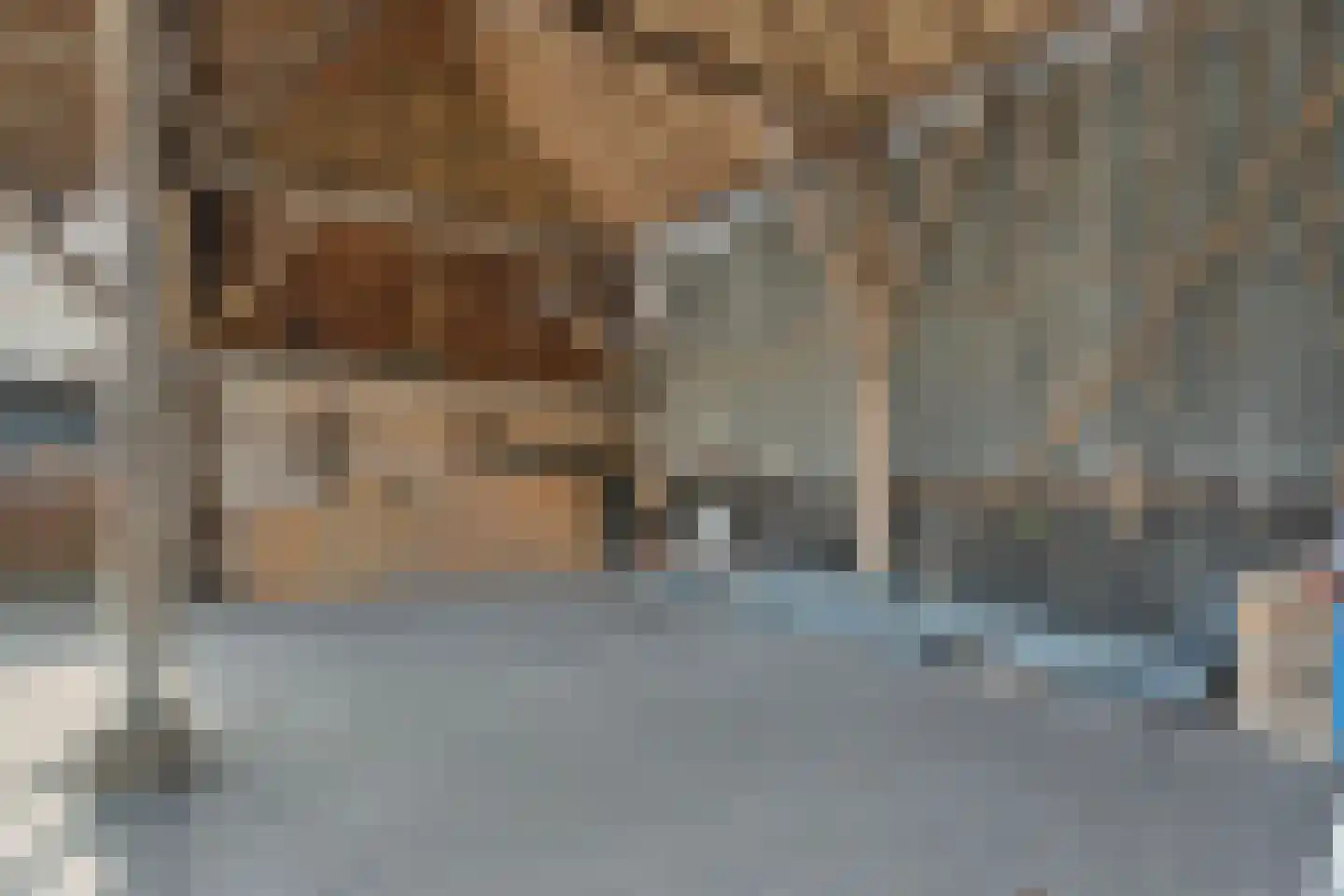 Brink 51 Dwingeloo thumbnail 75
