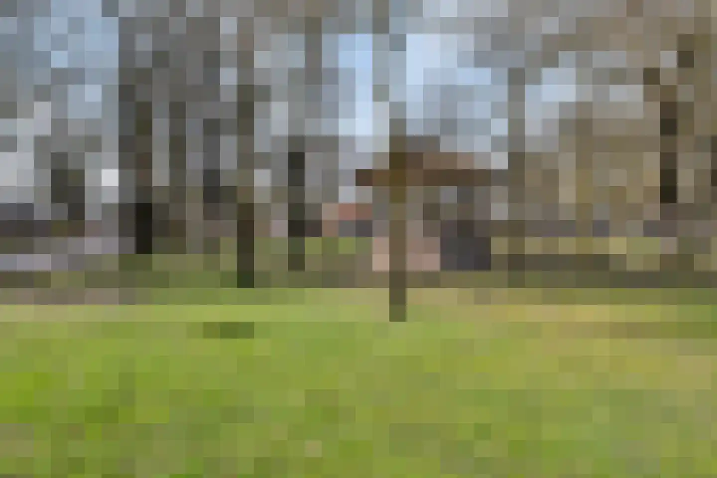Brink 51 Dwingeloo thumbnail 77