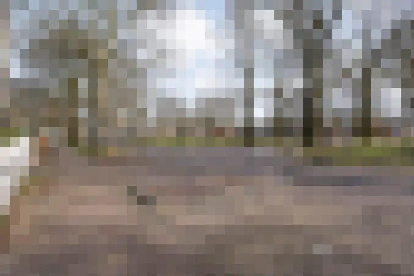Brink 51 Dwingeloo thumbnail 78