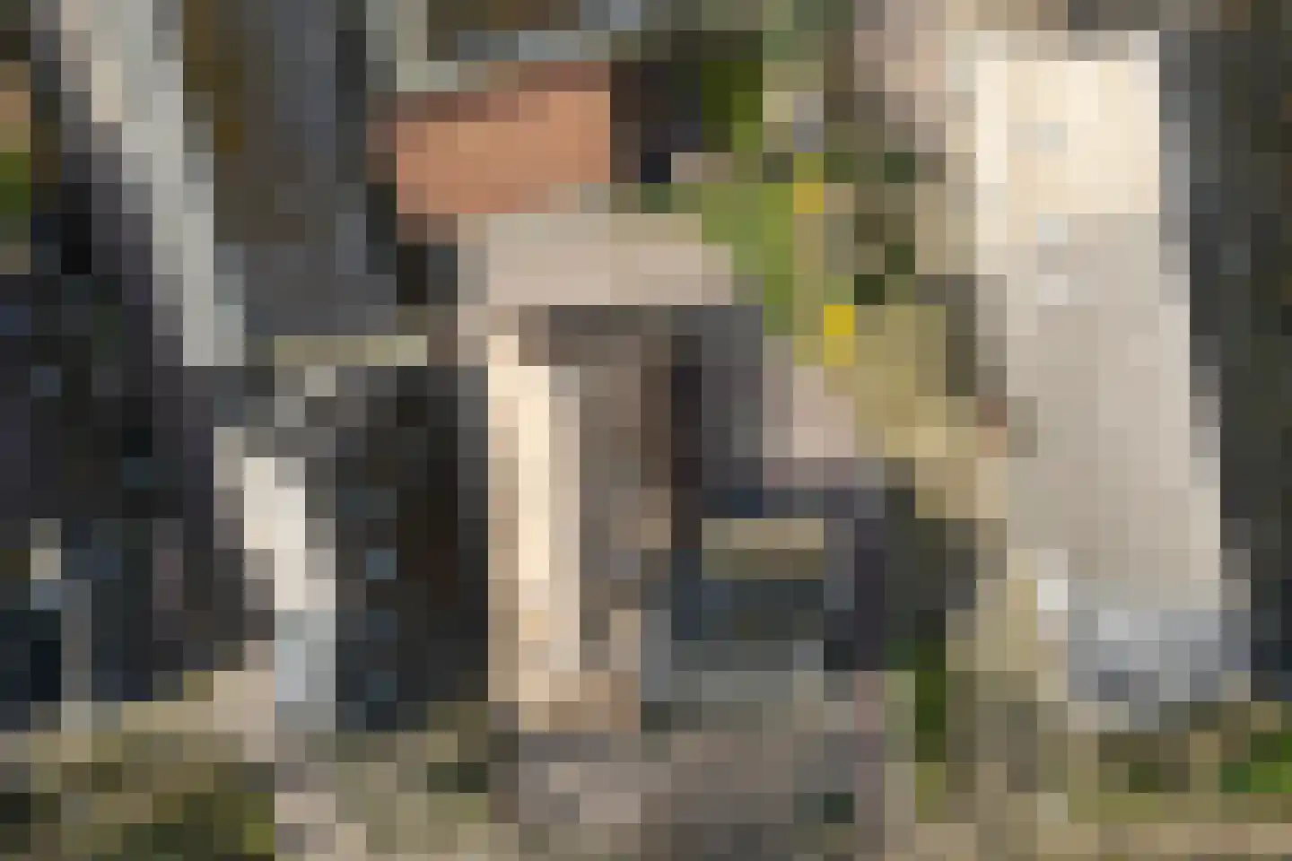 Brink 51 Dwingeloo thumbnail 80