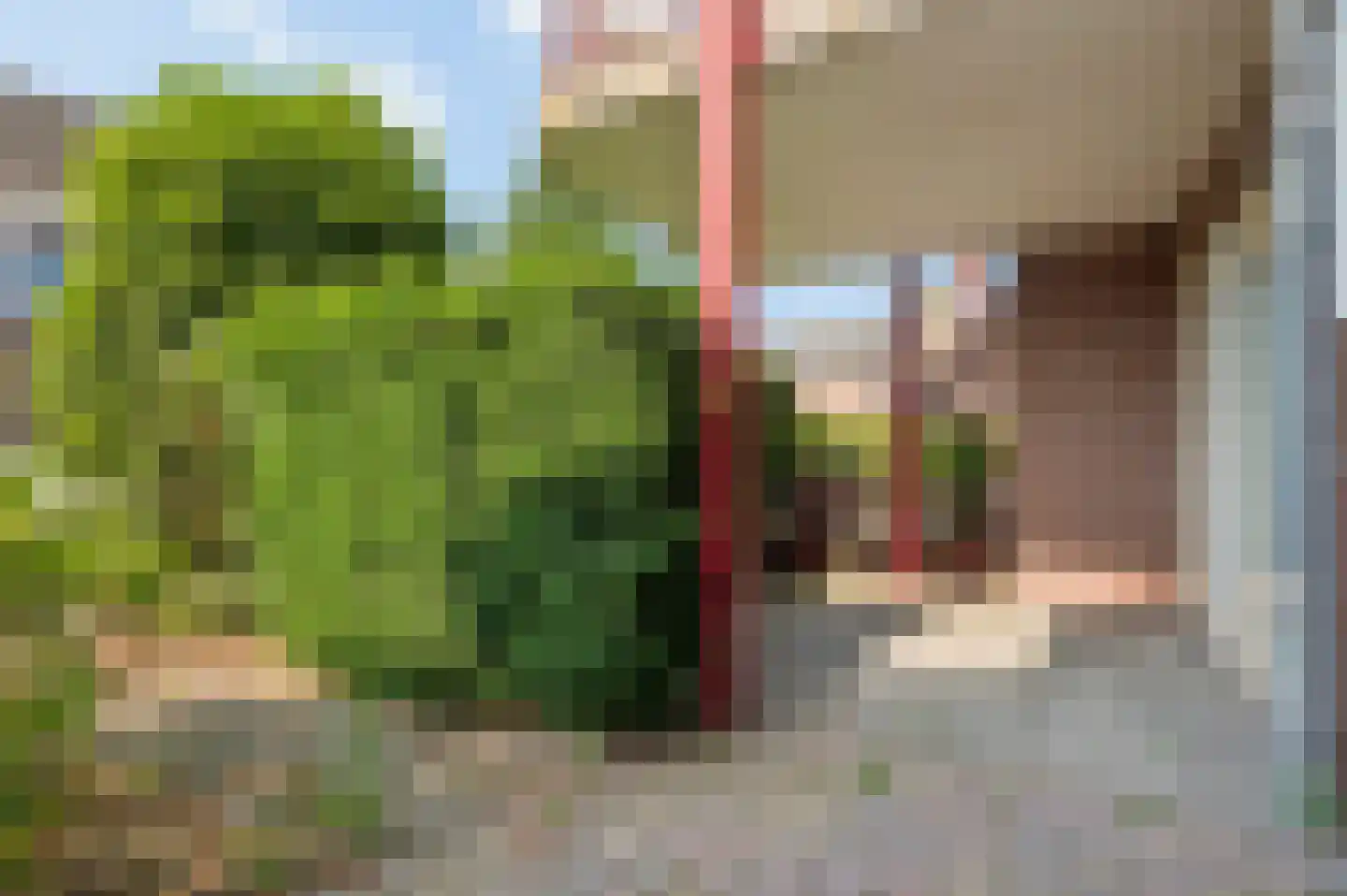 Brink 52 Nijkerk thumbnail 25