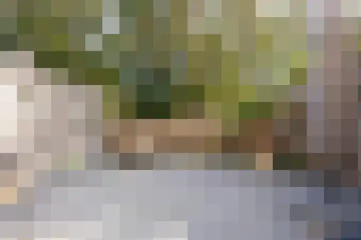 Brink 59 Beverwijk thumbnail 39