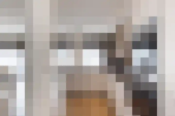 Brink 6 f Eibergen thumbnail 13