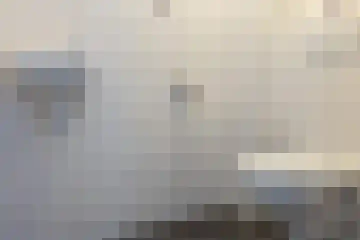 Brink 6 f Eibergen thumbnail 19