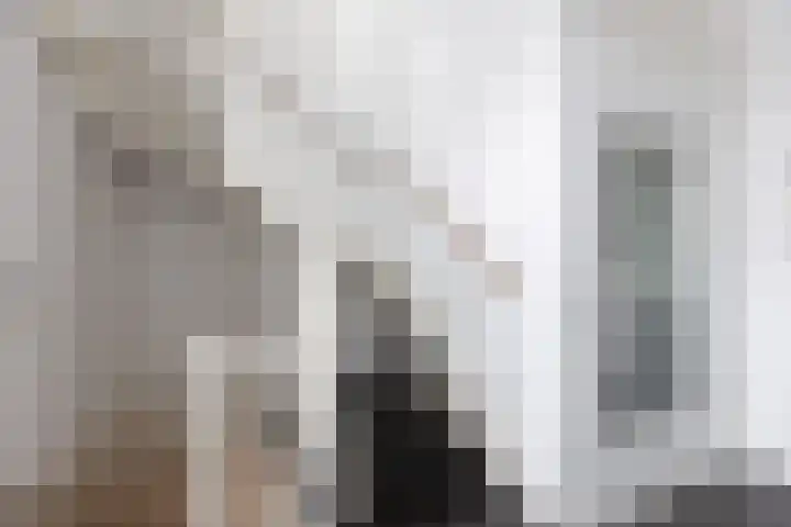 Brink 6 f Eibergen thumbnail 26