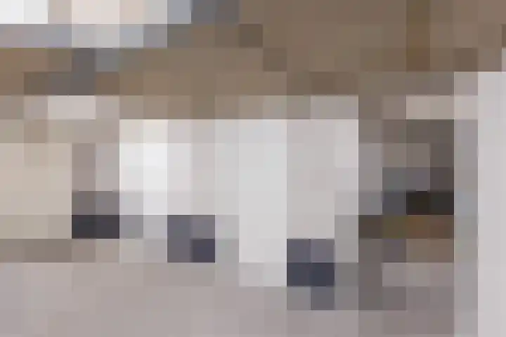 Brink 6 f Eibergen thumbnail 31