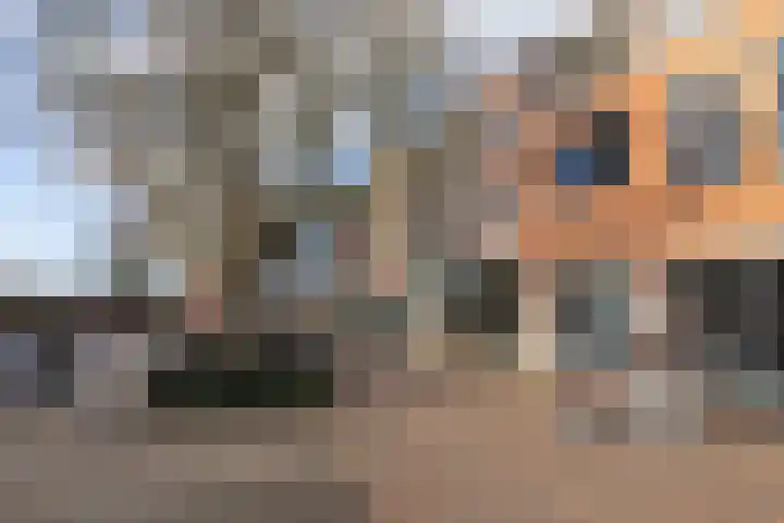 Brink 6 f Eibergen thumbnail 36